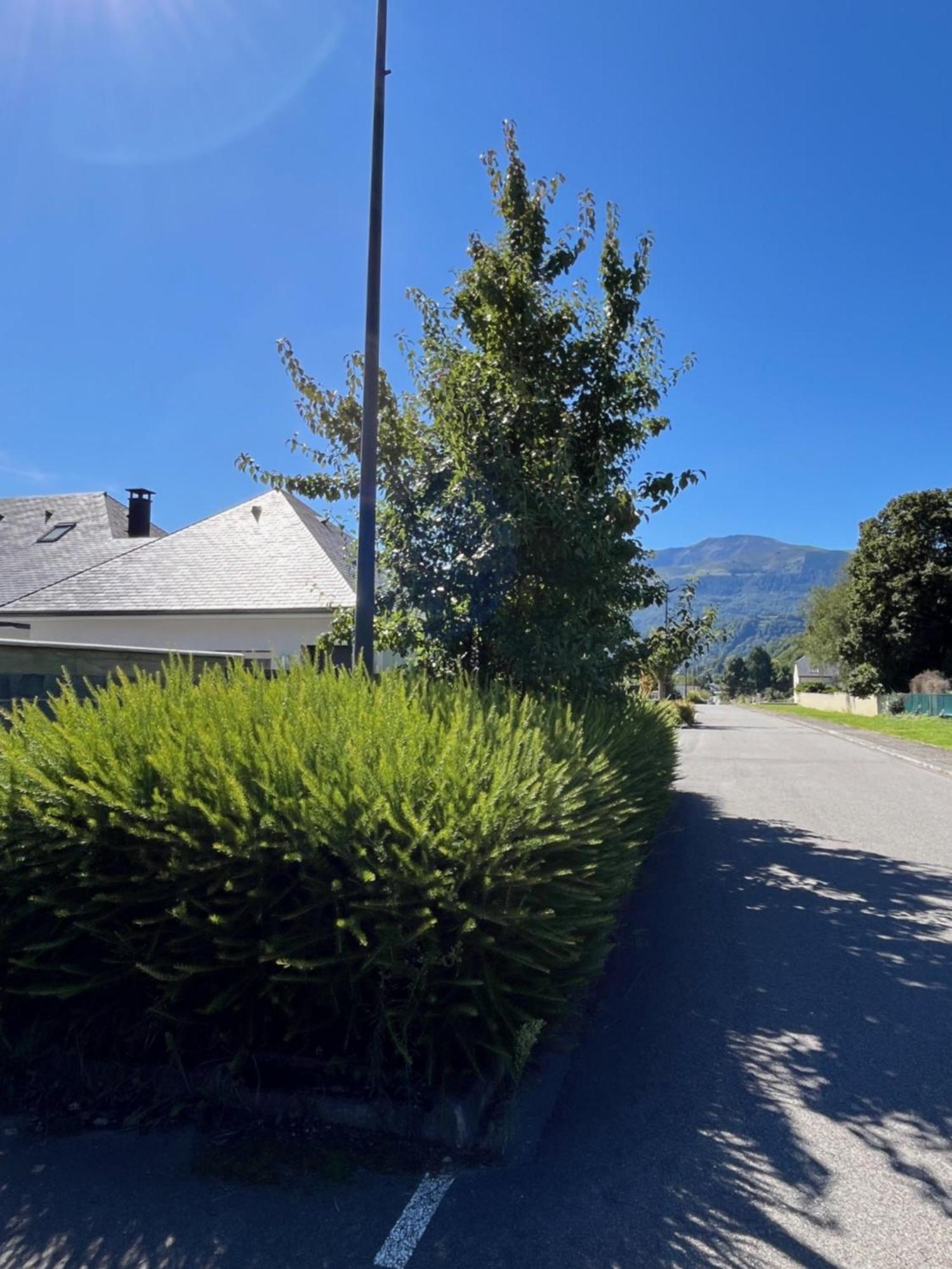 La Maison De Lilette Proche Argeles Gazost Ayzac-Ost Exteriér fotografie