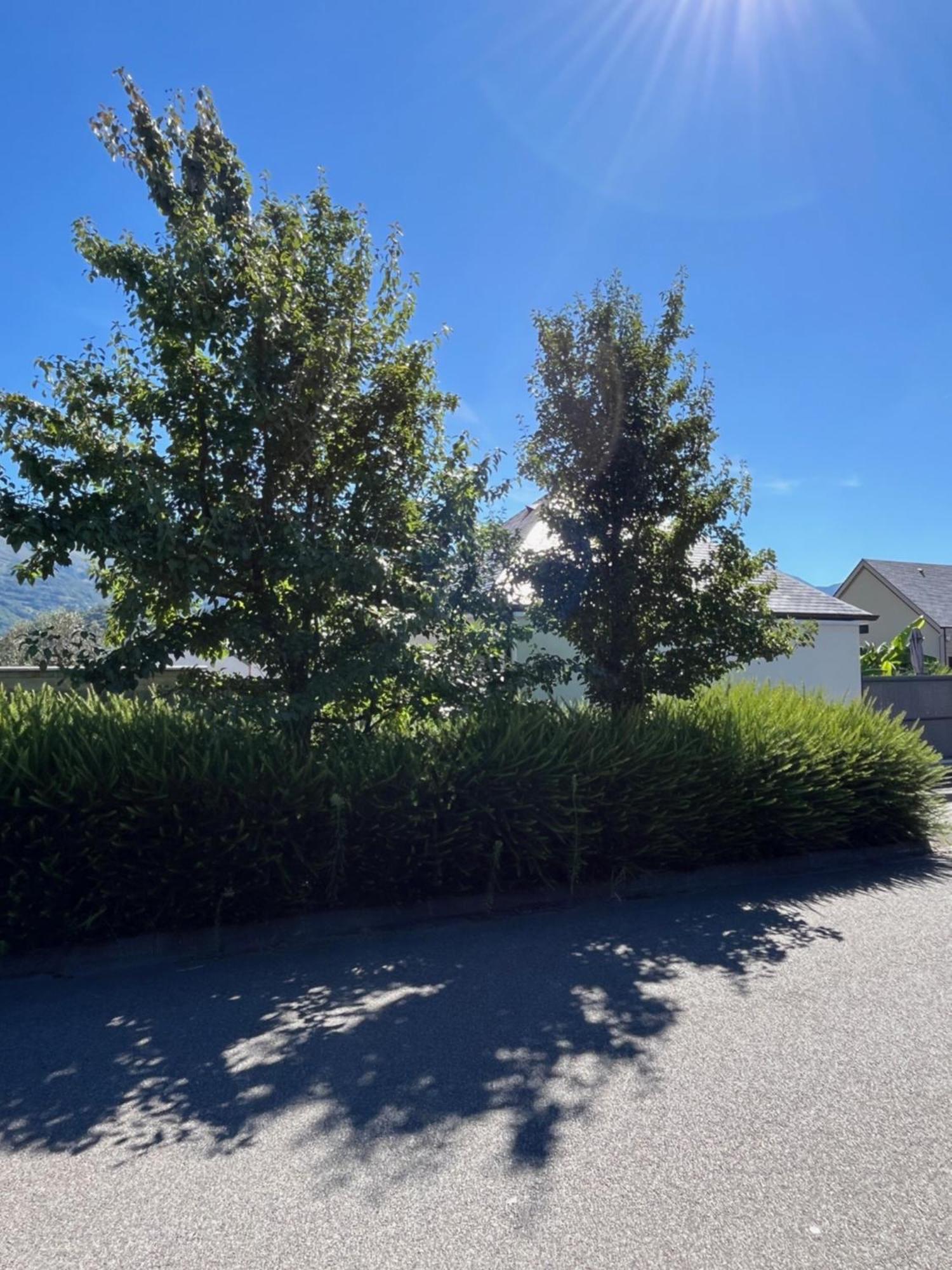 La Maison De Lilette Proche Argeles Gazost Ayzac-Ost Exteriér fotografie
